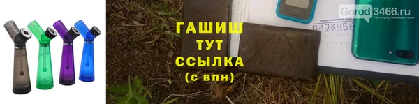 PSILOCYBIN Зерноград
