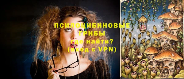 PSILOCYBIN Зерноград