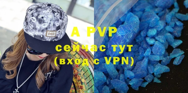 PSILOCYBIN Зерноград