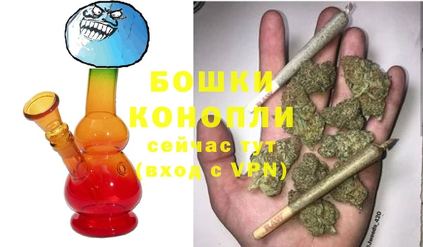 PSILOCYBIN Зерноград