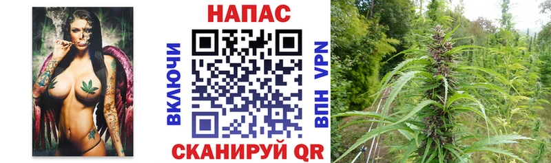 Бошки марихуана планчик Куса